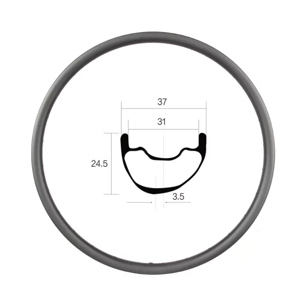 ASD937XC-GP Carbon Rim
